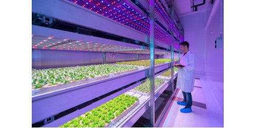 Agriculture 4.0
