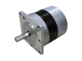 Brushless DC Motor 36V Brushless DC Motor 36V